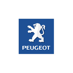 Plaquette de Frein Peugeot 106 : Carrogreen