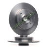 Jeu de 2 Disques de Frein Arriere Citroen C4 : Carrogreen