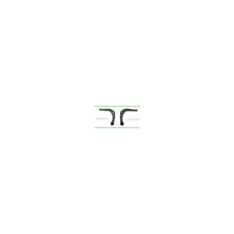 Triangle de Suspension Peugeot 206 Coté droit et Cote Gauche : Carrogreen